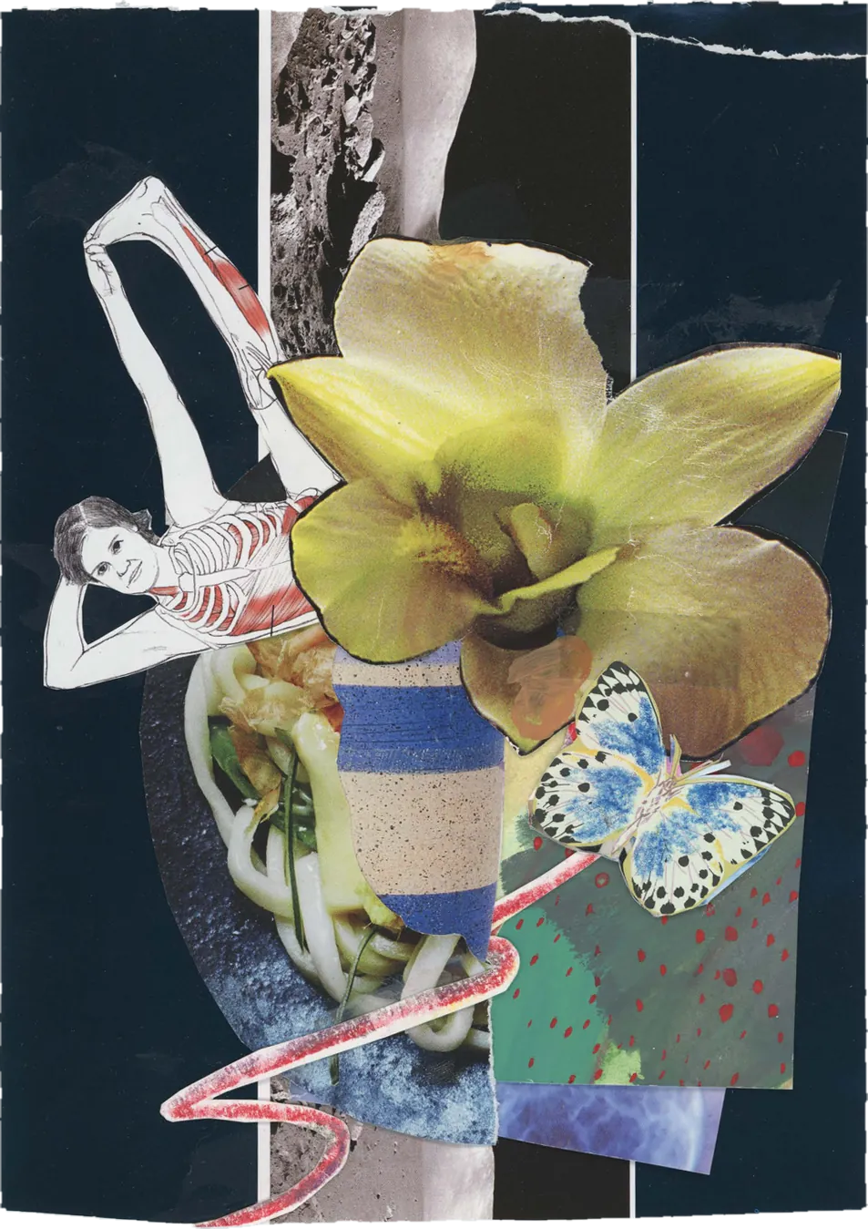 Collage of a large yellow orchid and a blue butterfly, with anatomical figures stretching around them.