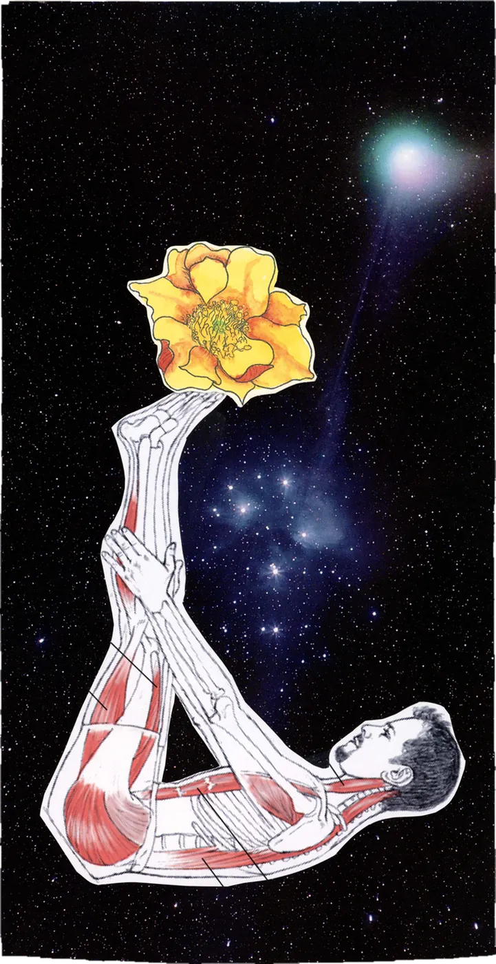 Collage of an anatomical figure balancing on one hand and holding up a yellow flower, in a starry sky.