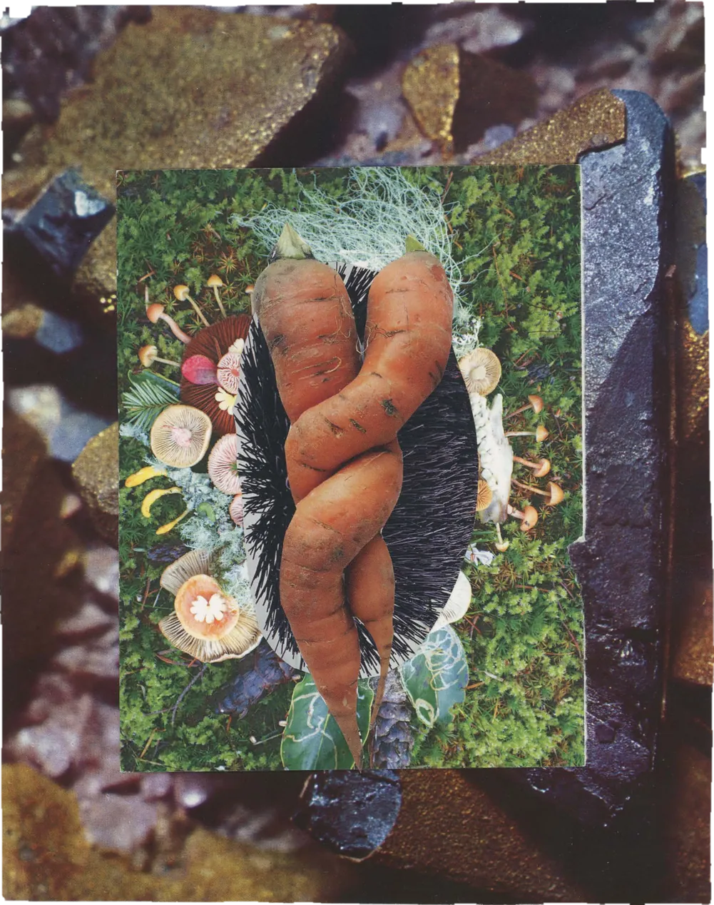 Collage of two intertwined carrots nestled in moss and mushrooms.