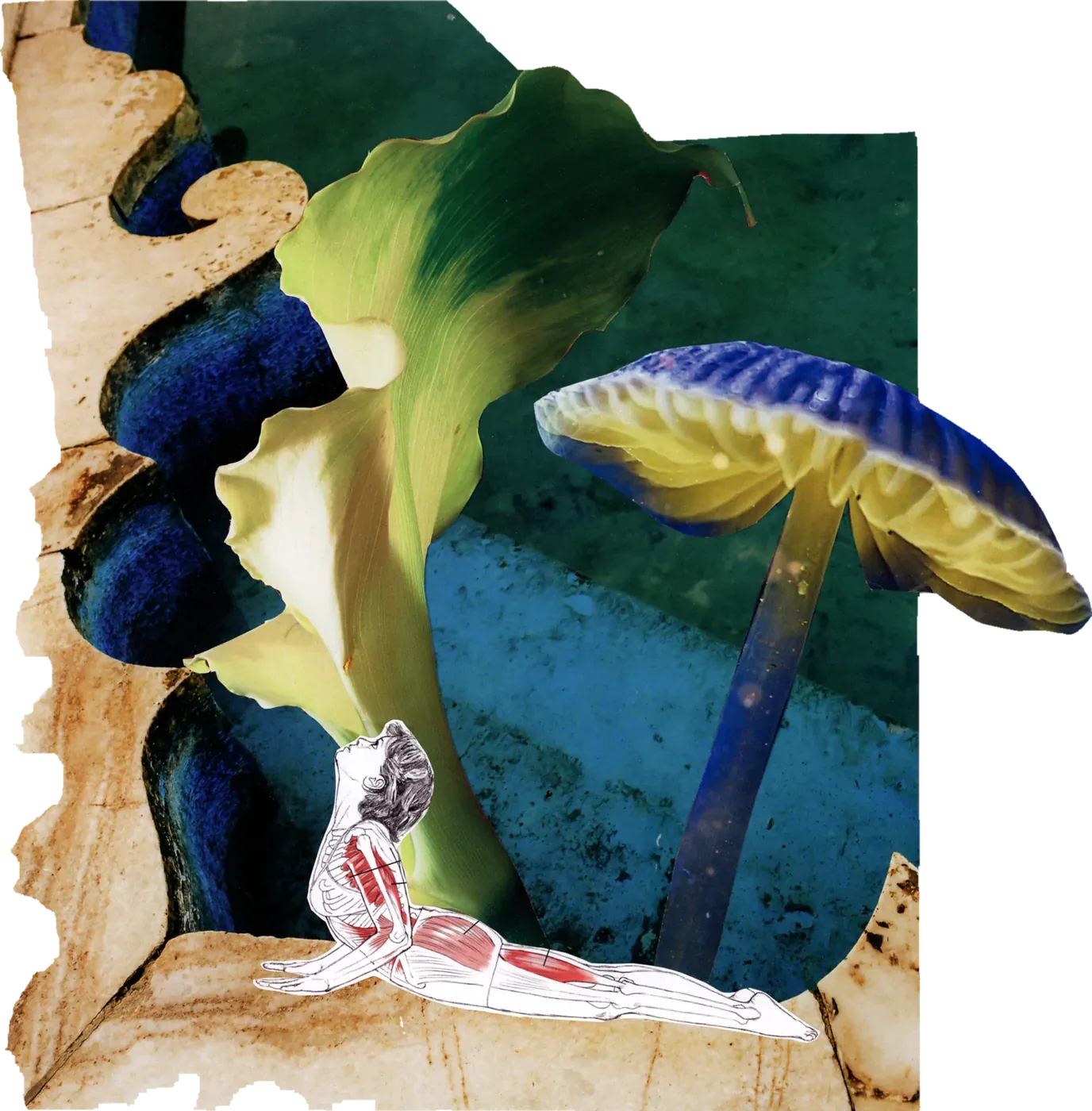 Collage of a giant blue mushroom and a curling green leaf, with a small anatomical figure climbing.