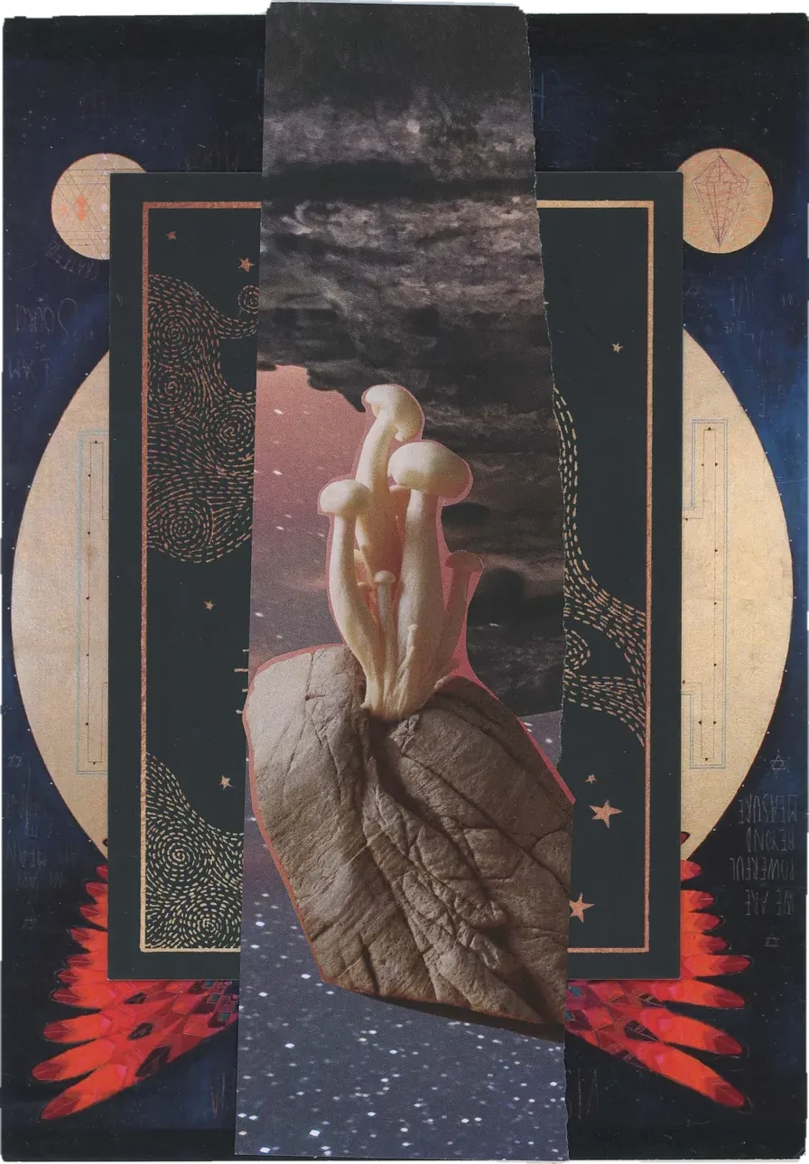 Collage of a hanging seed pod and red wings in a dark starry panel framed in gold.
