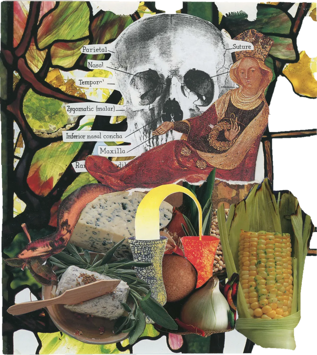 Collage of a skull with anatomical labels, a woman in red, corn, cheese and autumn leaves.