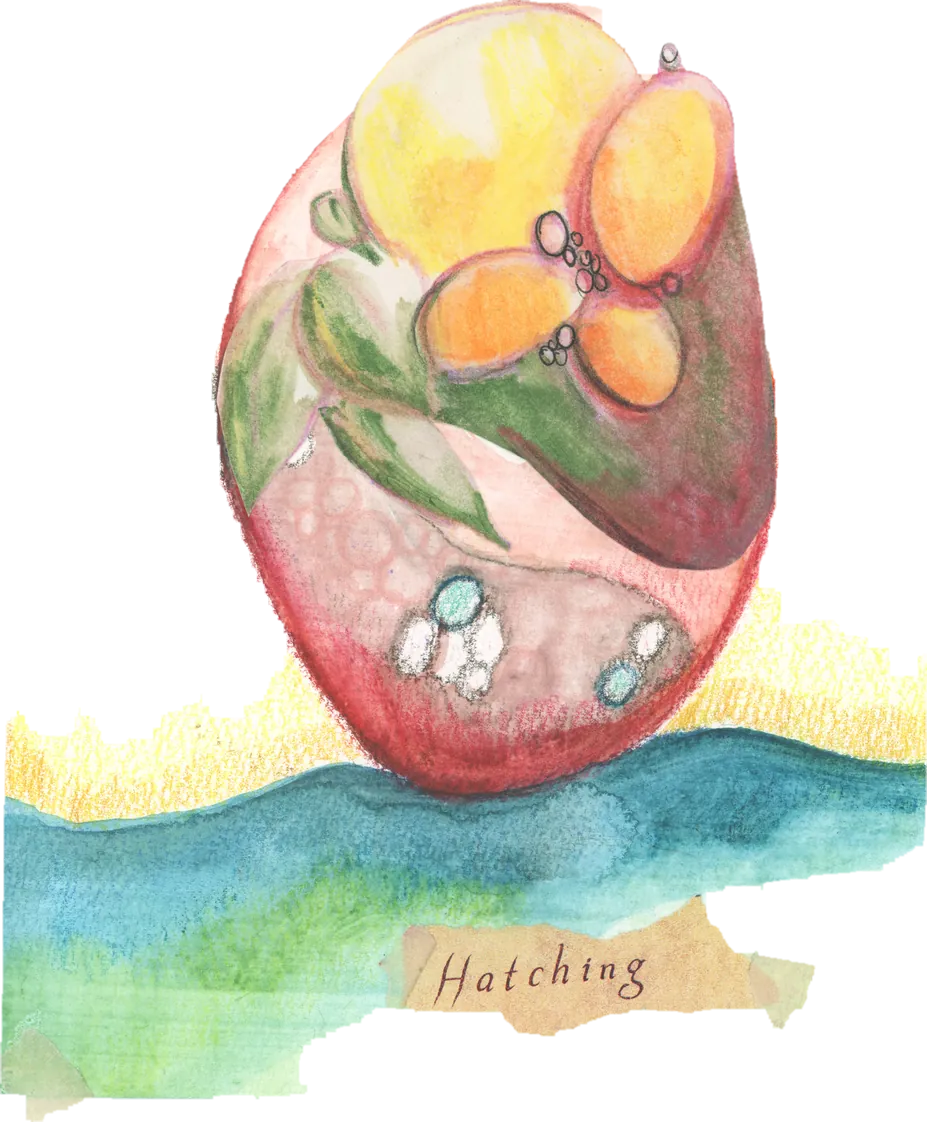 Collage of a watercolor of a pink egg holding orange fruit and turquoise stones above blue water, titled “Hatching”.
