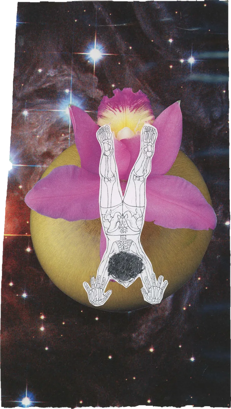 Collage of an anatomical figure in a headstand inside a pink orchid, on a golden planet in space.