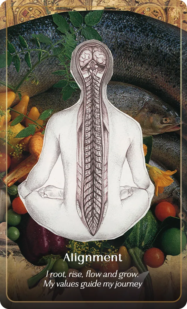 P+M Oracle card Alignment: a seated anatomical figure with its spine drawn, before fish and vegetables. “I root, rise, flow and grow. My values guide my journey”